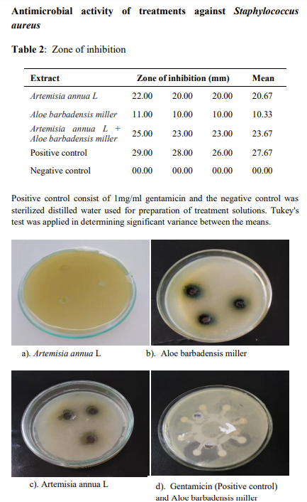 Activit Antimicrobienne Des Extraits De Plantes Artemisia Annua Et